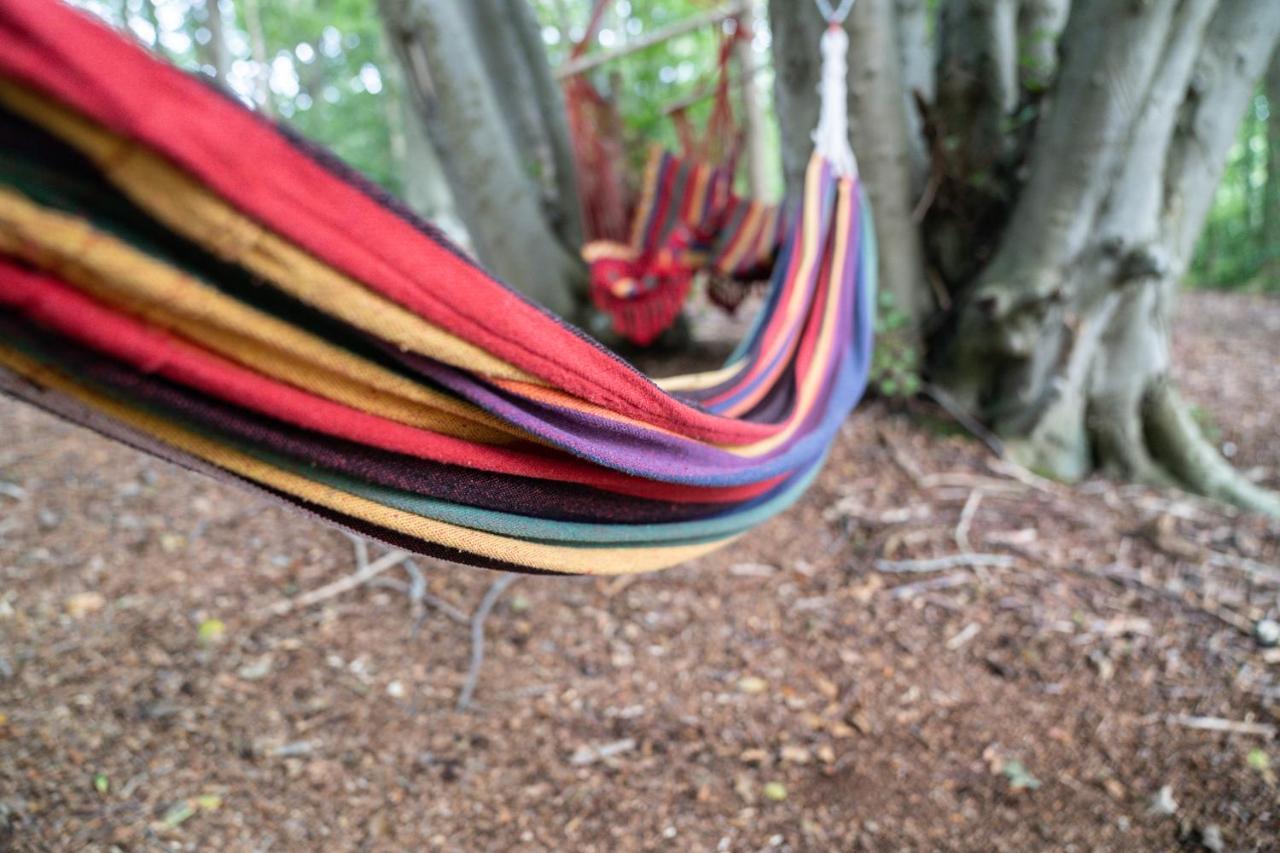 Colleville Gite Calypso De 14 Personnes Fecamp Etretat מראה חיצוני תמונה